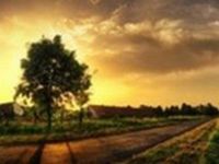 PUA对心理健康的长期危害