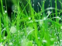 常见的五种PUA类型解析