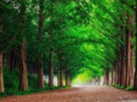 什么是PUA？如何识别情感操控