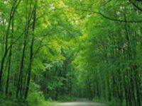 常见的五种PUA类型解析