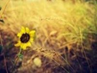 什么是PUA？如何识别情感操控