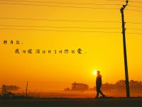 常见的五种PUA类型解析