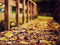 什么是PUA？如何识别情感操控