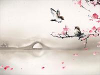 什么是PUA？如何识别情感操控